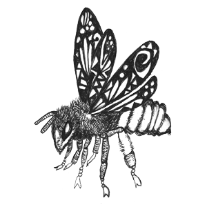 Hand drawn illustration of a worker bee with a abstract design draw into its wing space 