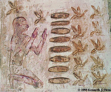 Ancient Egyptian drawings of bees on wall