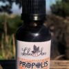 Propolis Tincture 30ml